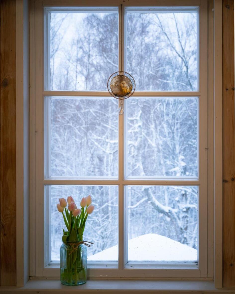Kolin Mattila B&B Колинкюла Экстерьер фото