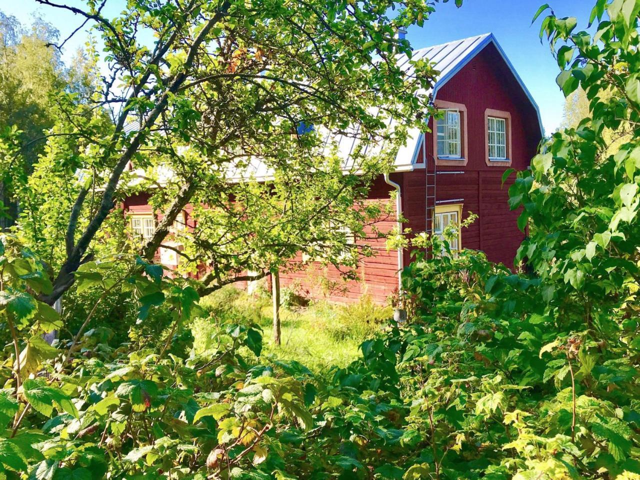 Kolin Mattila B&B Колинкюла Экстерьер фото